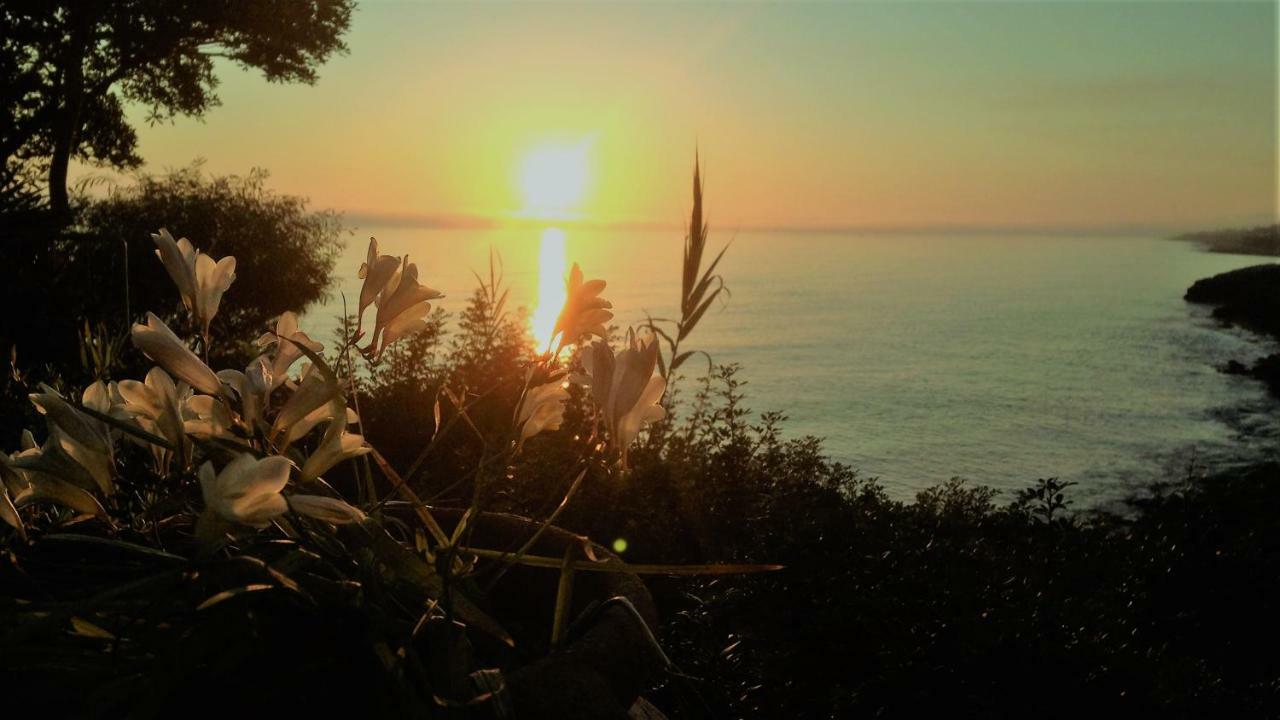 B&B Viadelmare Patù Eksteriør bilde