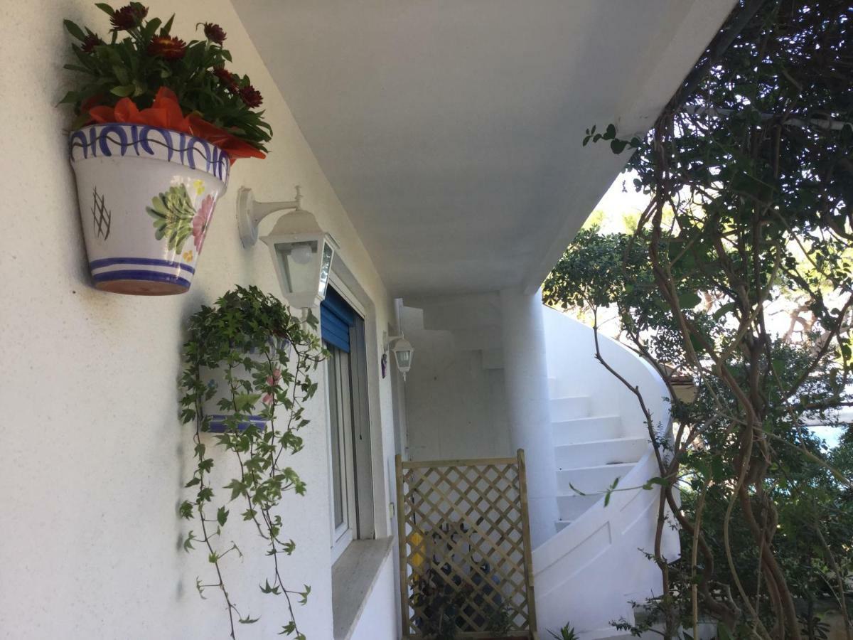 B&B Viadelmare Patù Eksteriør bilde